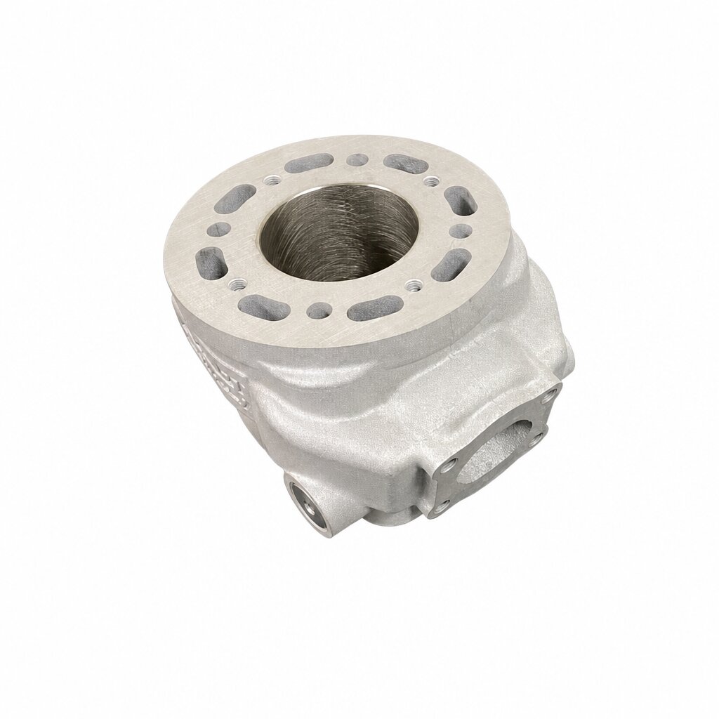Image of Zylinder Bidalot RF 80 WR Derbi Euro 3 / Euro 4