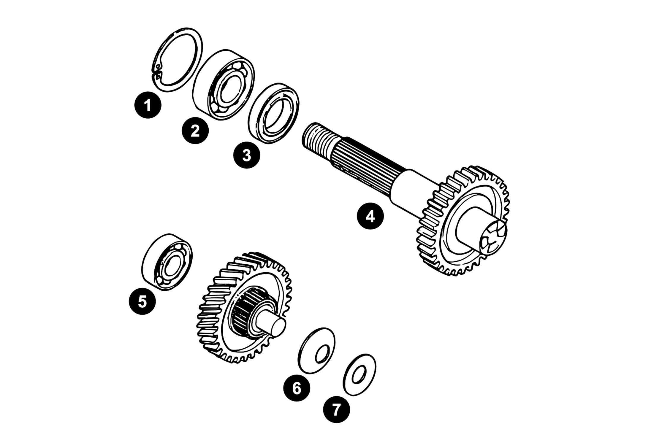 Image of Ersatzteile Minarelli vertikal Getriebe