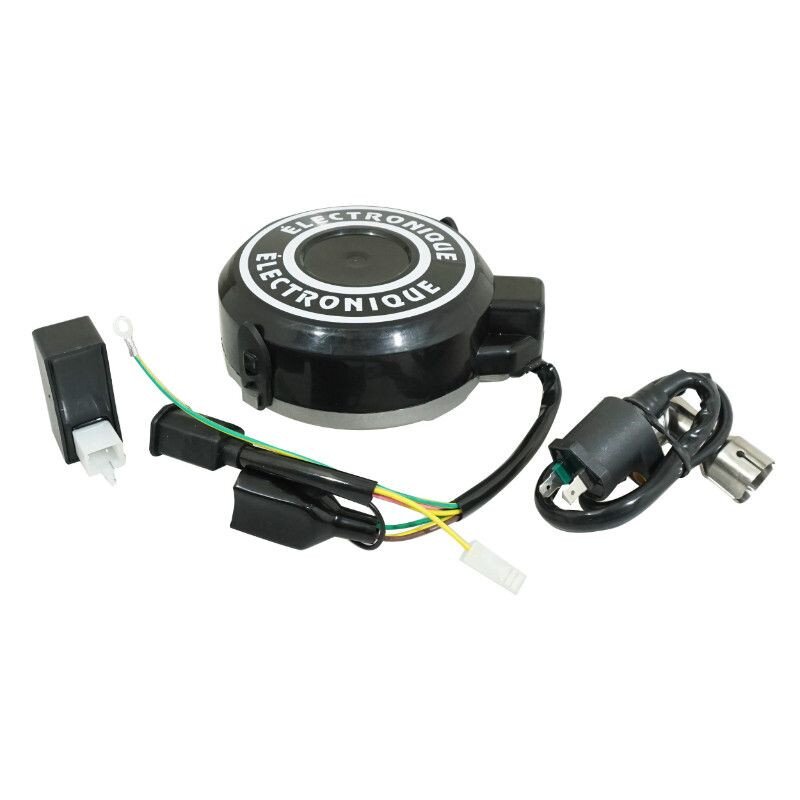 Image of Lichtmaschine Peugeot 103 (kleiner Konus) 12V m. Spule + CDI
