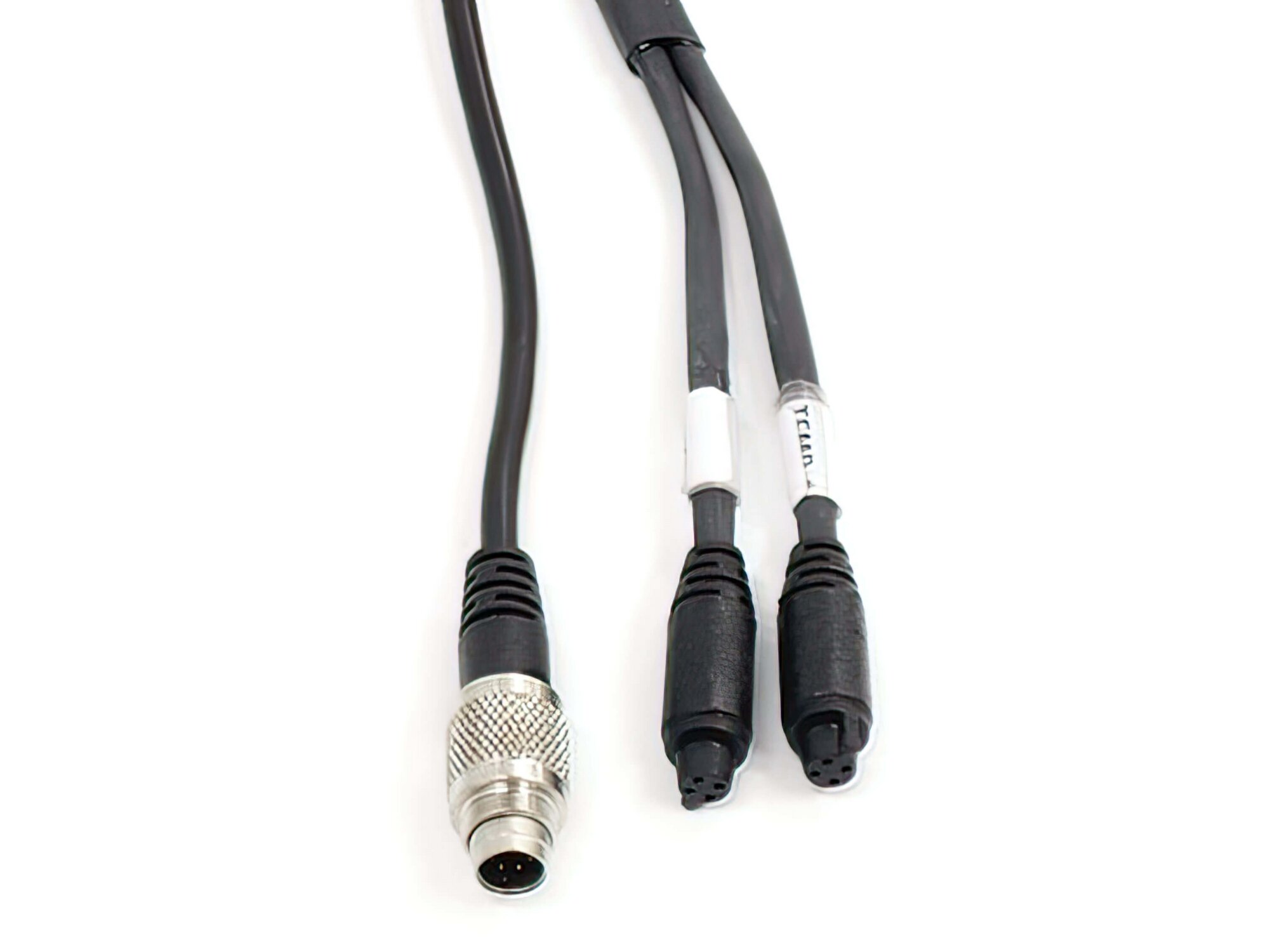 Image of Y-Anschlusskabel Temperatursensor MyChron 5 2T 1,5m (2x Wasser)