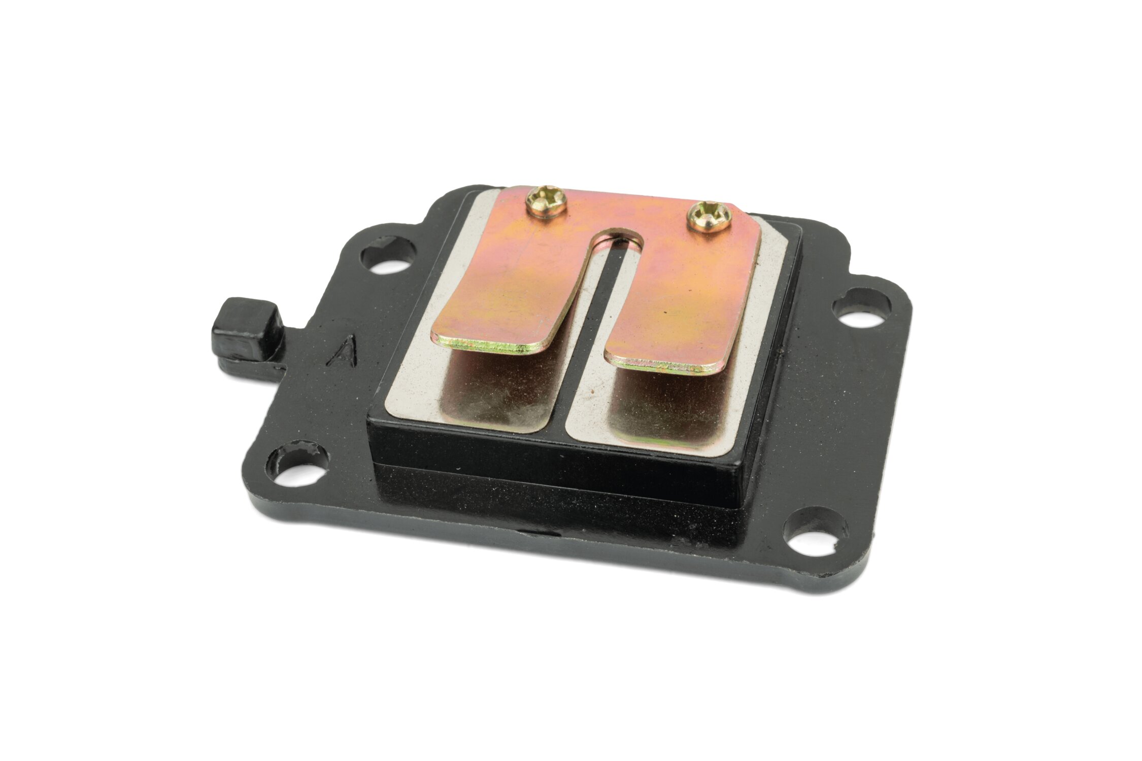 Image of Membranblock Motoforce Minarelli stehend