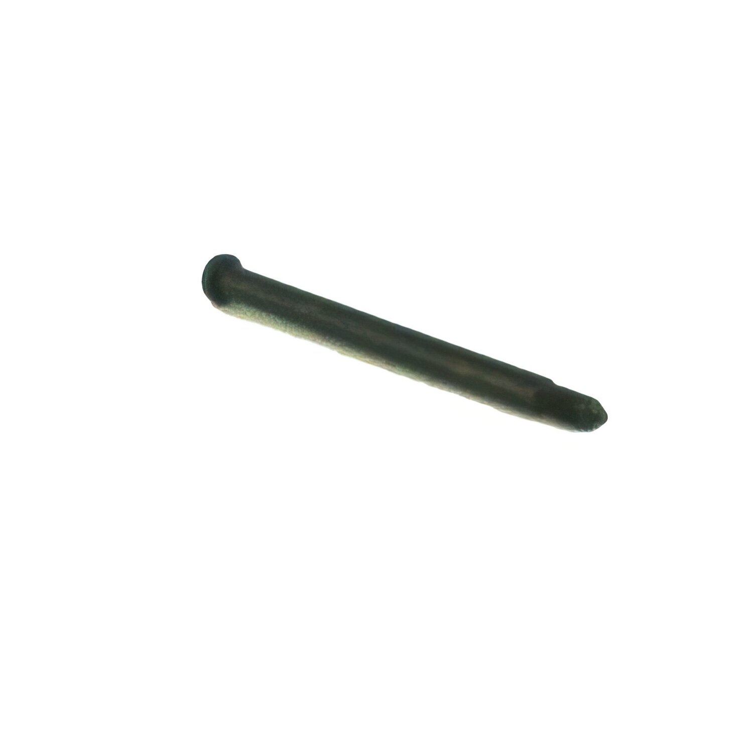 Image of Bolzen Sitzbank Sym Mio