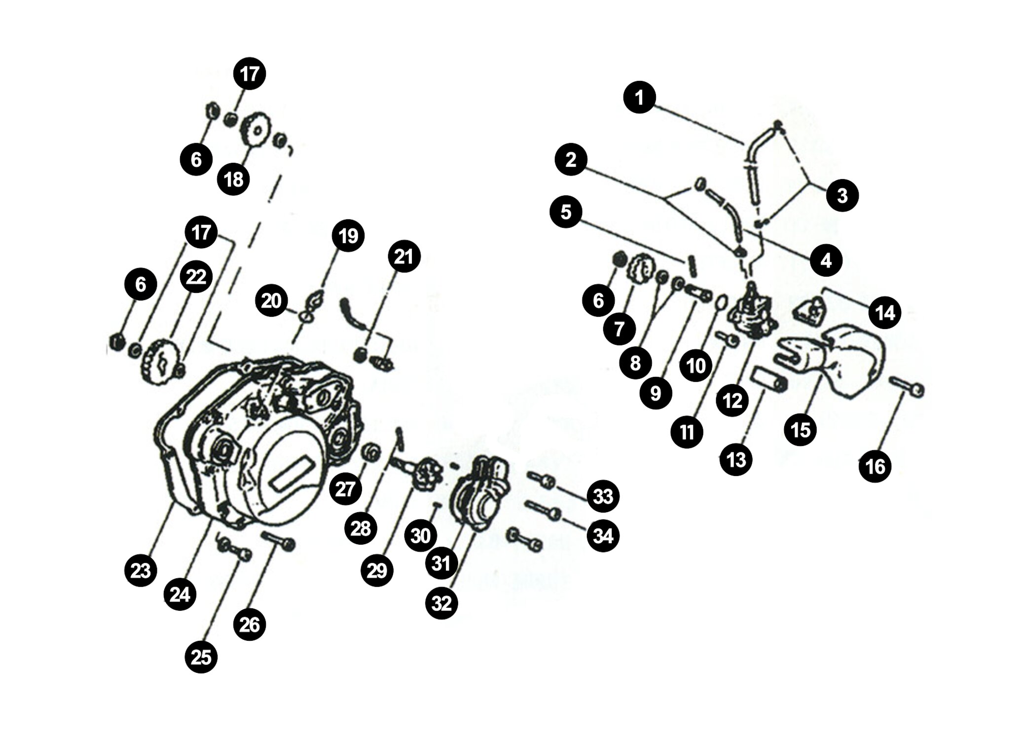 Image of Original Ersatzteile Minarelli AM6 Wasser/Ölpumpe