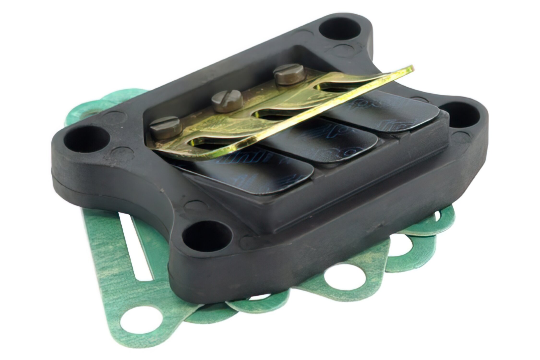 Image of Membranblock Polini Peugeot TKR