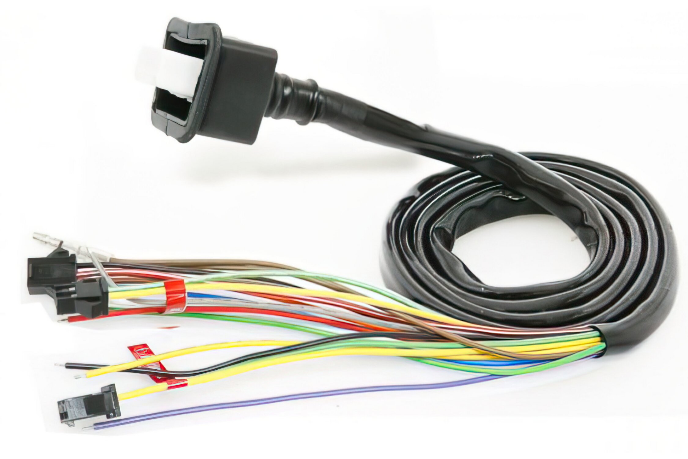 Image of Kabelbaum Koso für RX1N, RX2