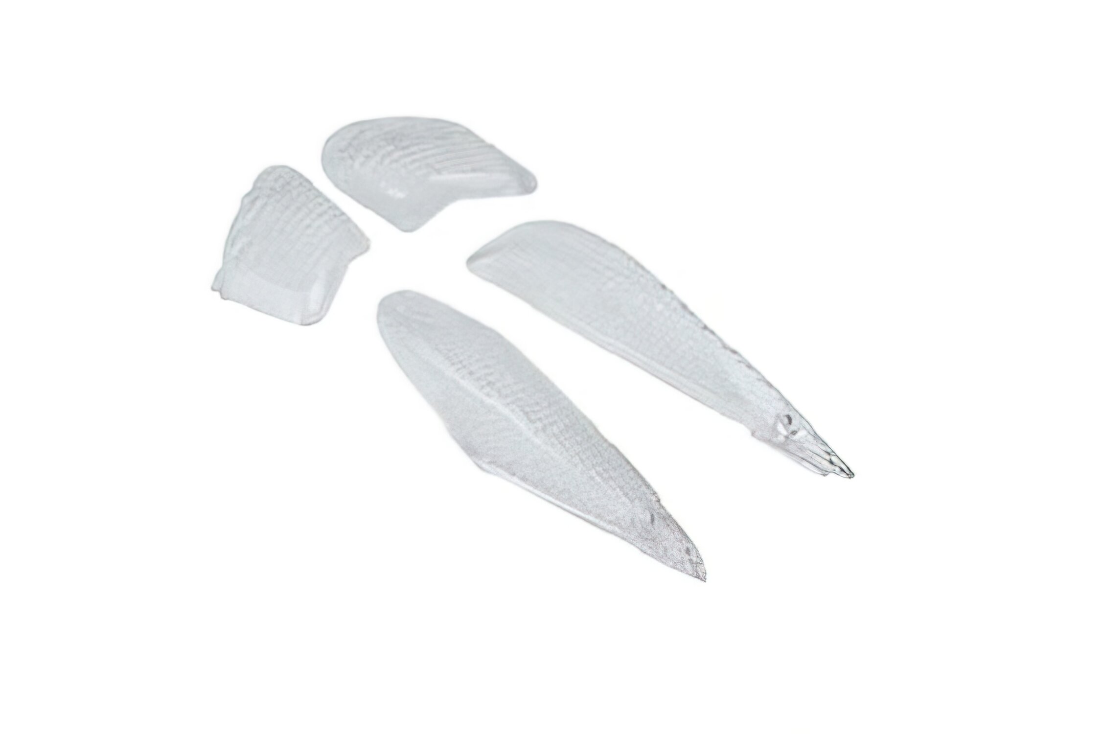 Image of Blinkergläser Set (x4) Yamaha BW's NG ab 1999