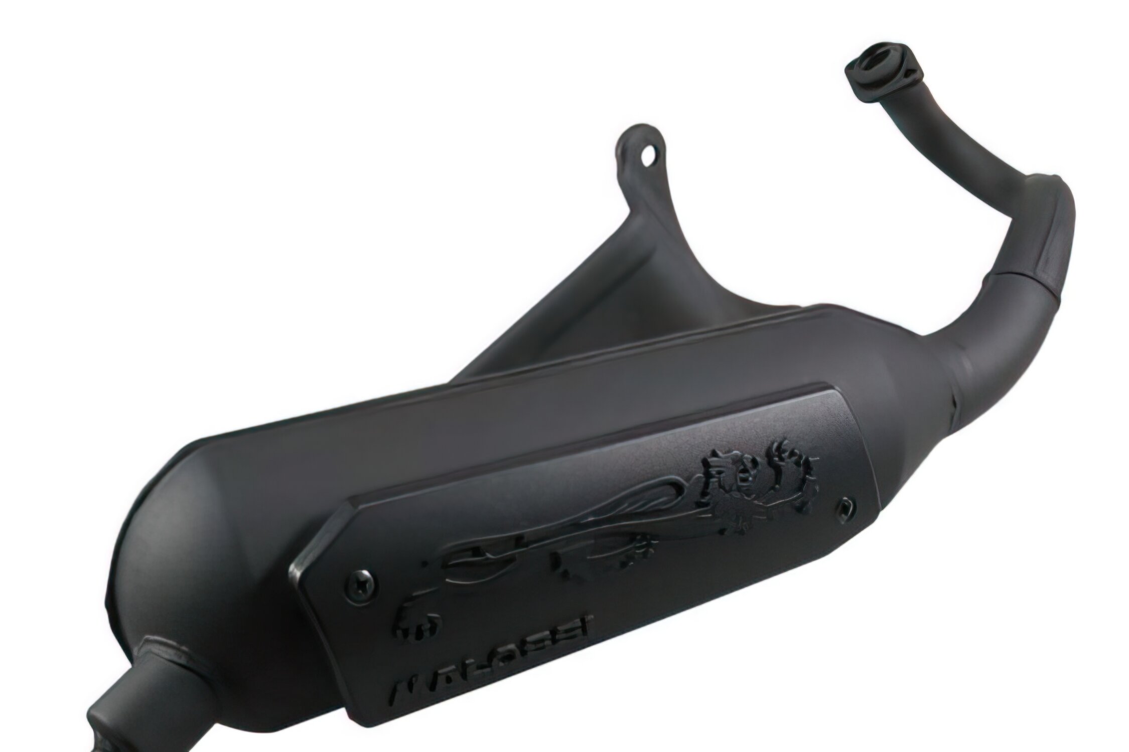Image of Auspuff Malossi Wild Lion Piaggio Zip