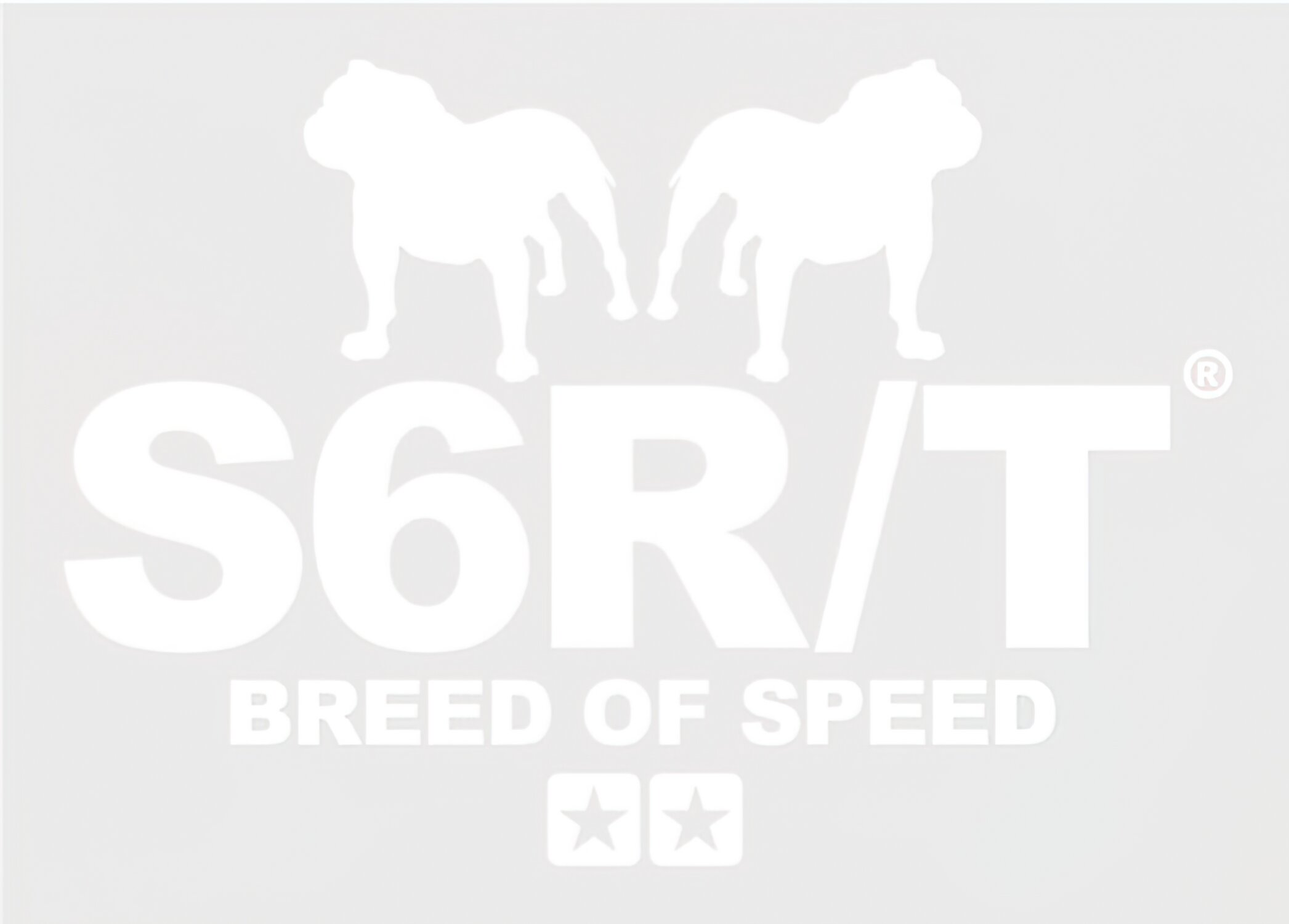 Image of Aufkleber Stage6 R/T Breed of Speed weiß