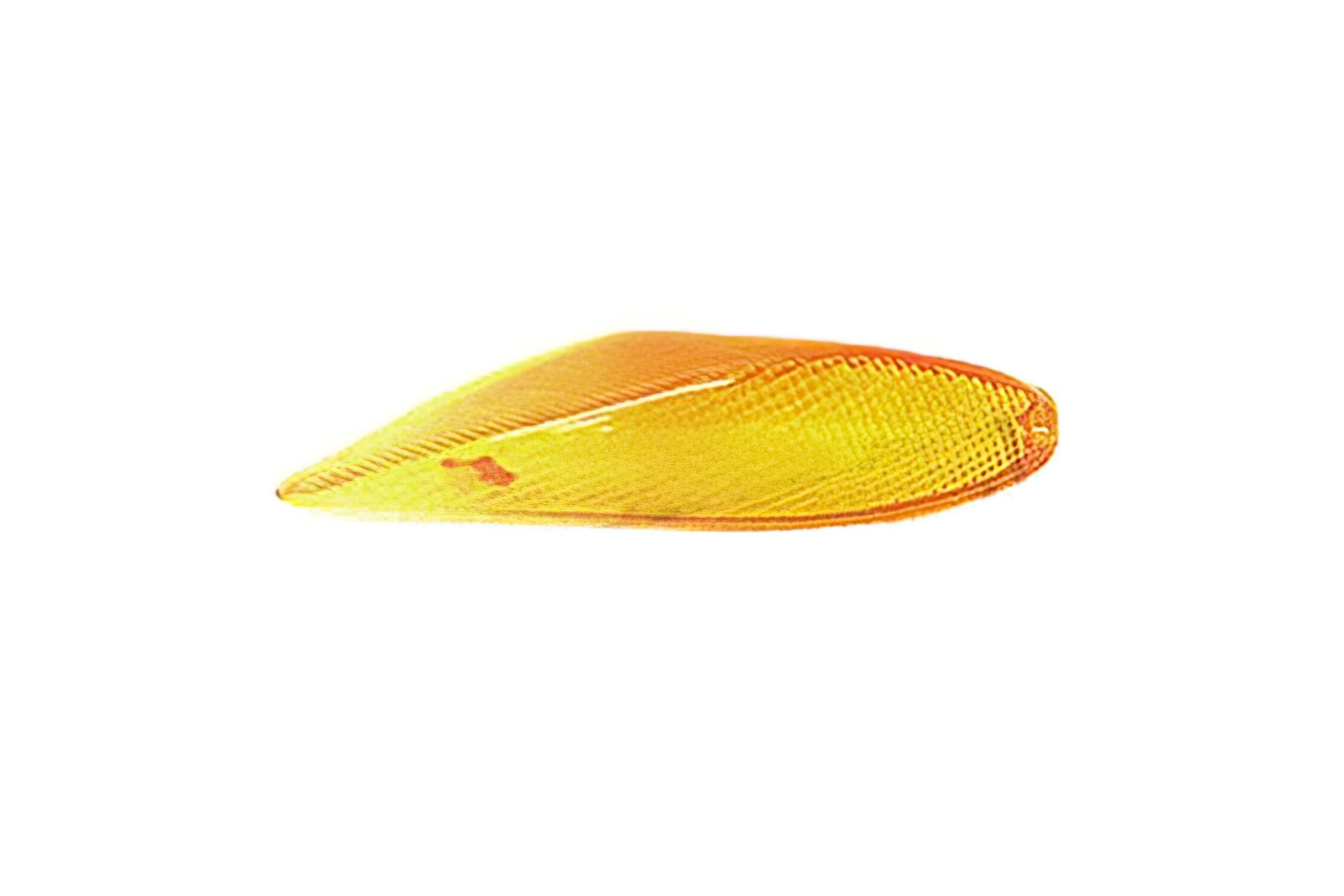 Image of Blinkerglas vorne links orange Yamaha BW's NG bis 1999