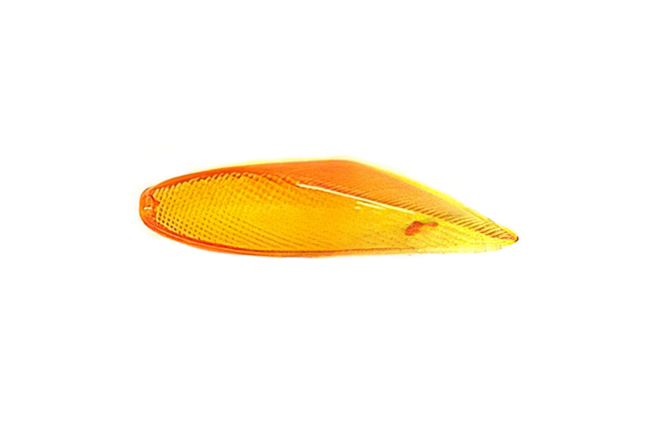 Image of Blinkerglas vorne rechts orange Yamaha BW's NG bis 1999